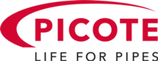 Picote Transparent Logo